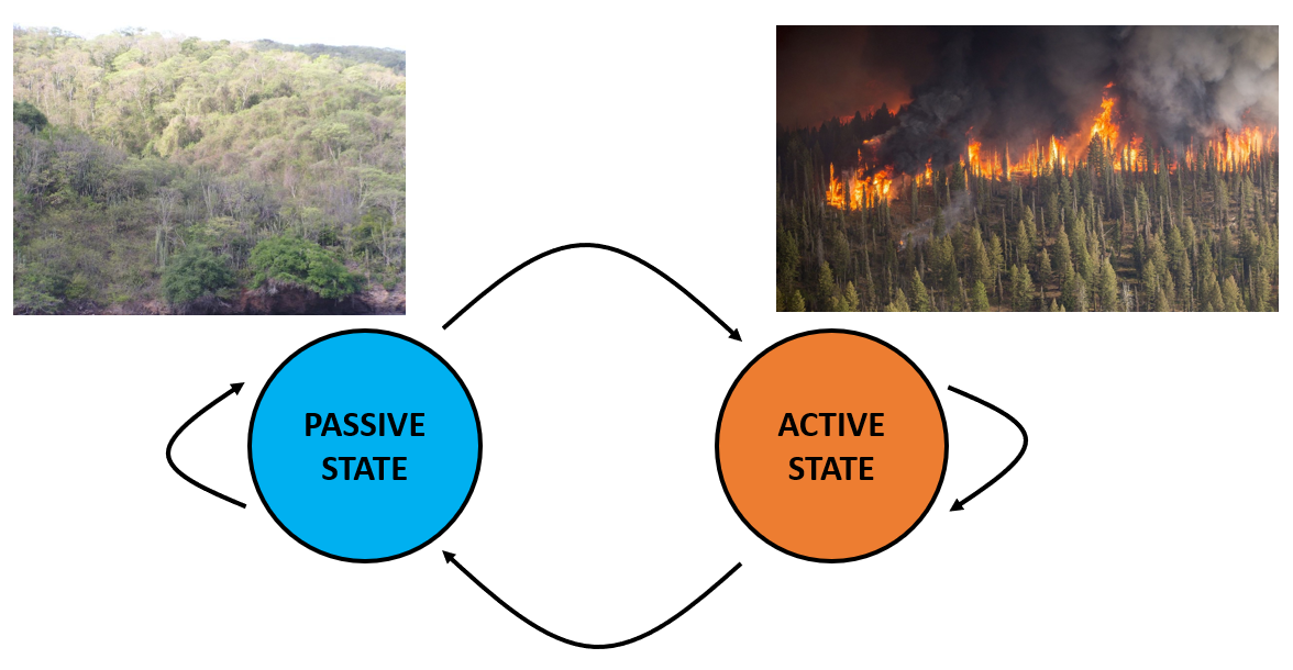 environmental state diagram