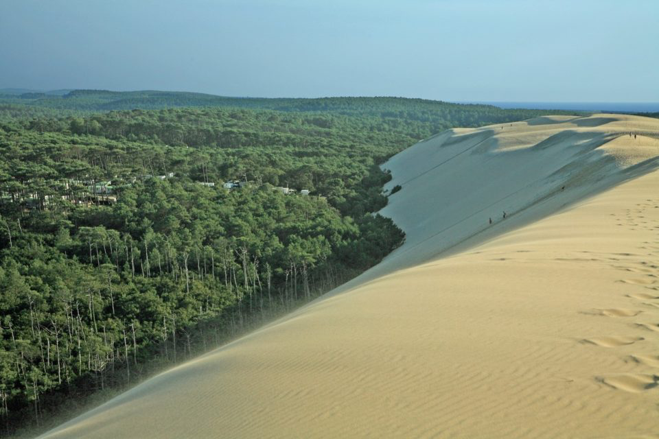Clear landscape used as Mortimus project context