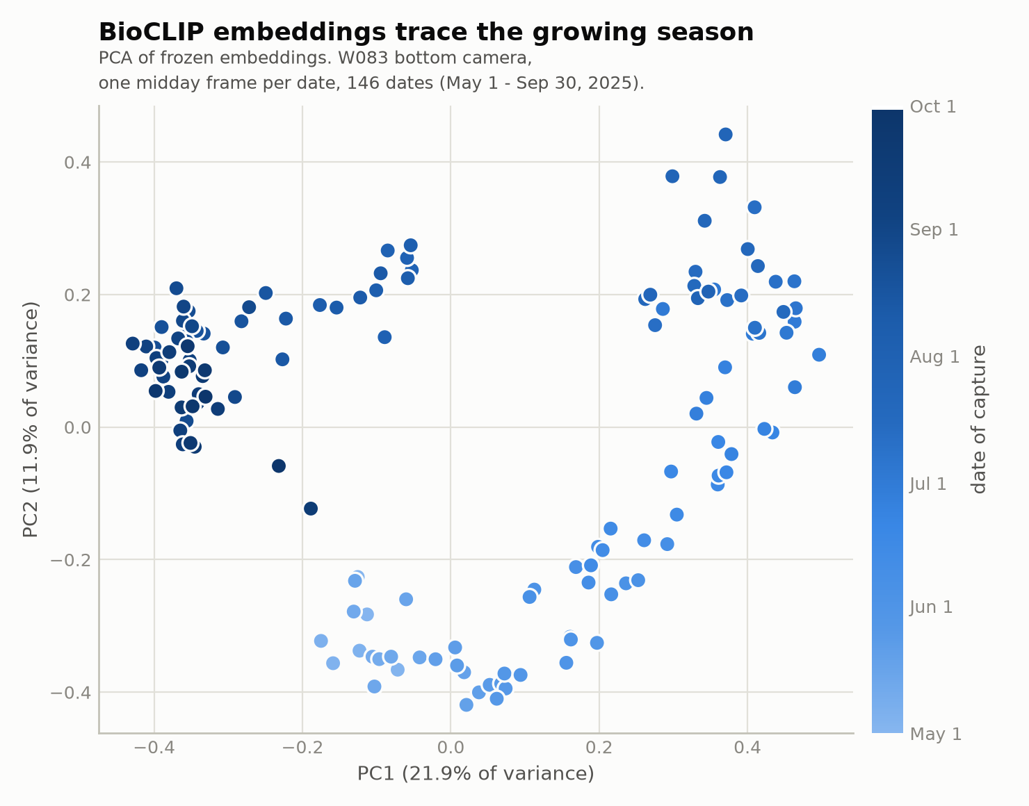 BioCLIP embeddings colored by day-of-year, tracing the 2025 growing season