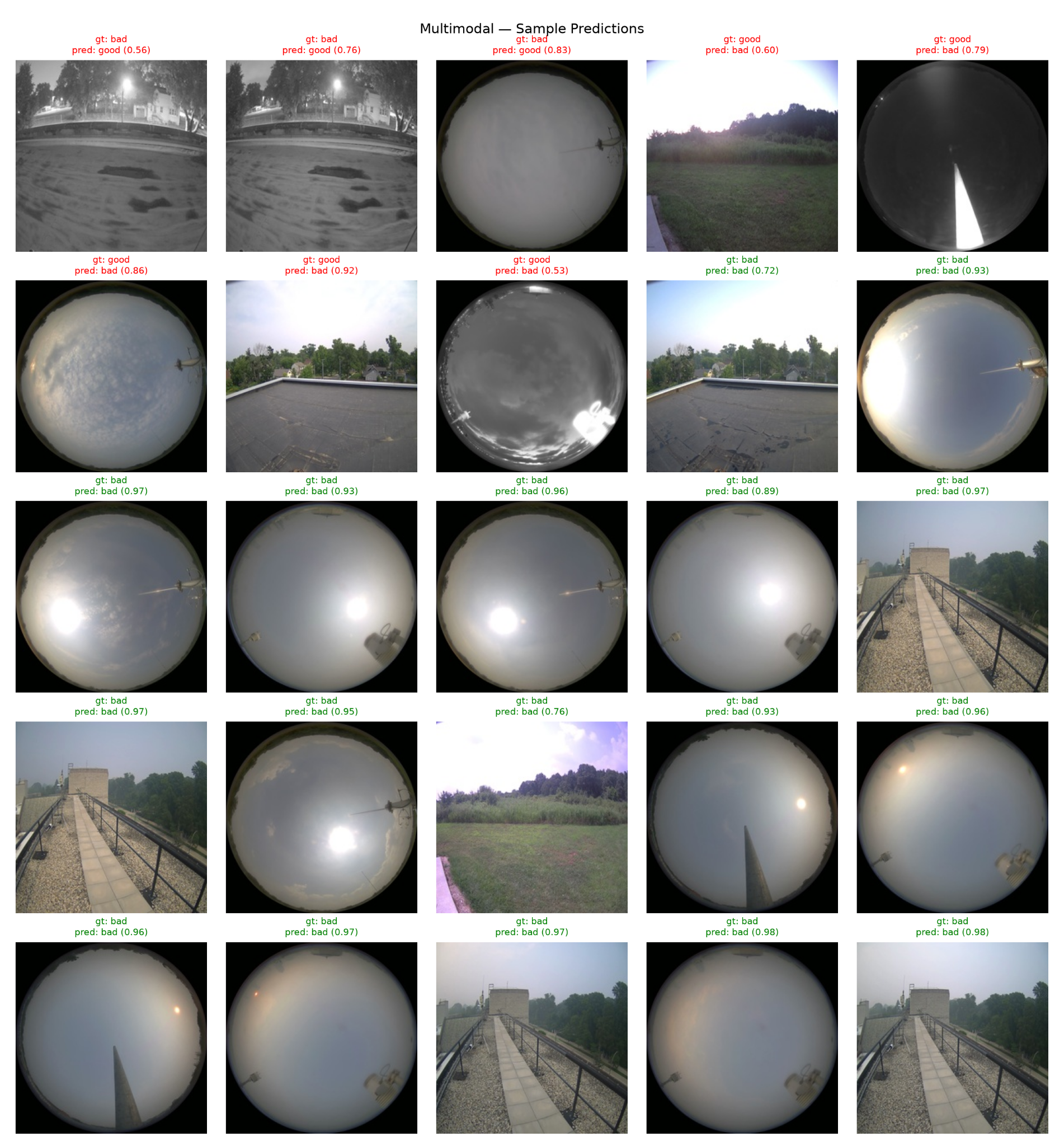 Example multimodal model predictions