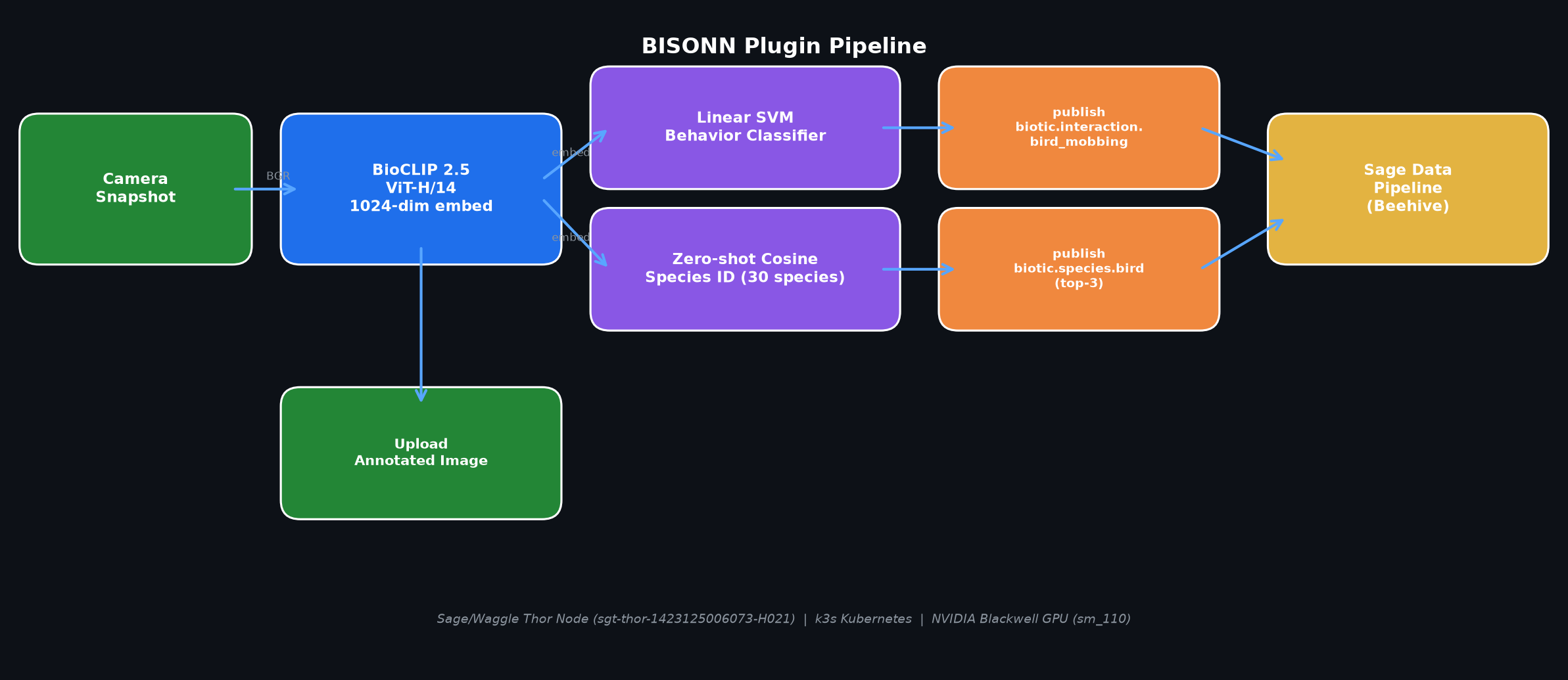 BISONN plugin architecture. The plugin acquires a camera snapshot, encodes it with BioCLIP 2.5, classifies behavior with the frozen Linear SVM, identifies species via zero-shot cosine similarity to curated species text prompts, and publishes results to the Sage data pipeline.
