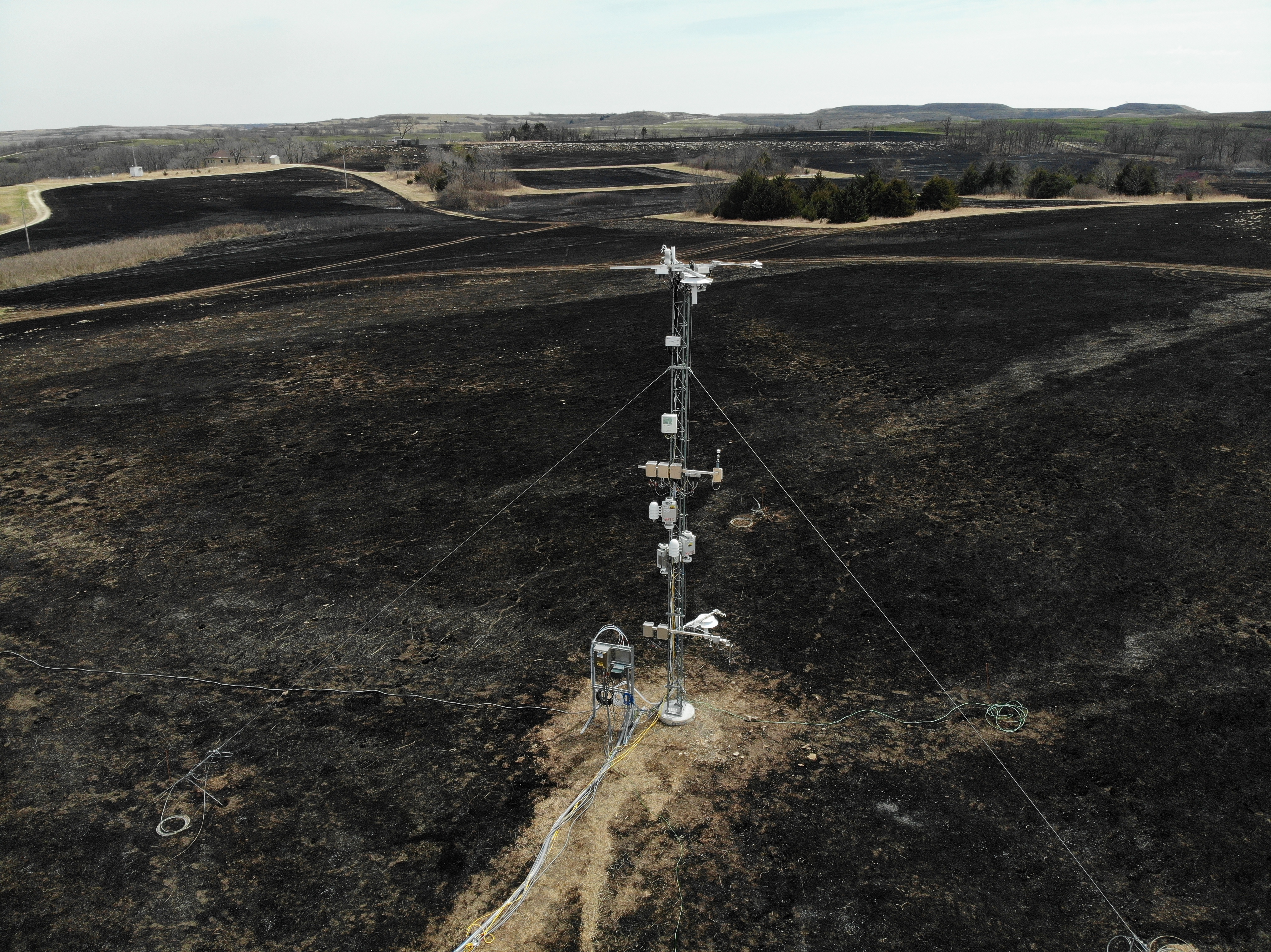 post prescribed burn