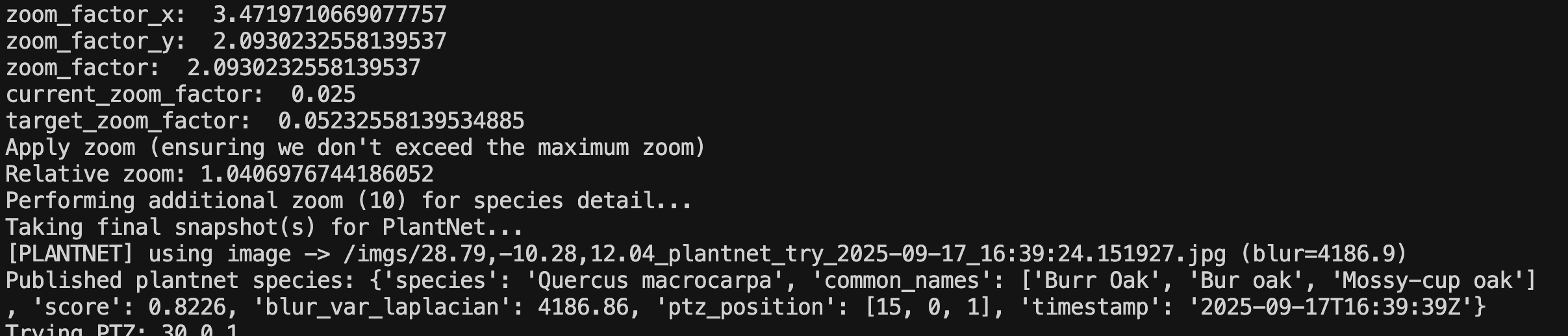 Console log showing the final species identification results from PlantNet