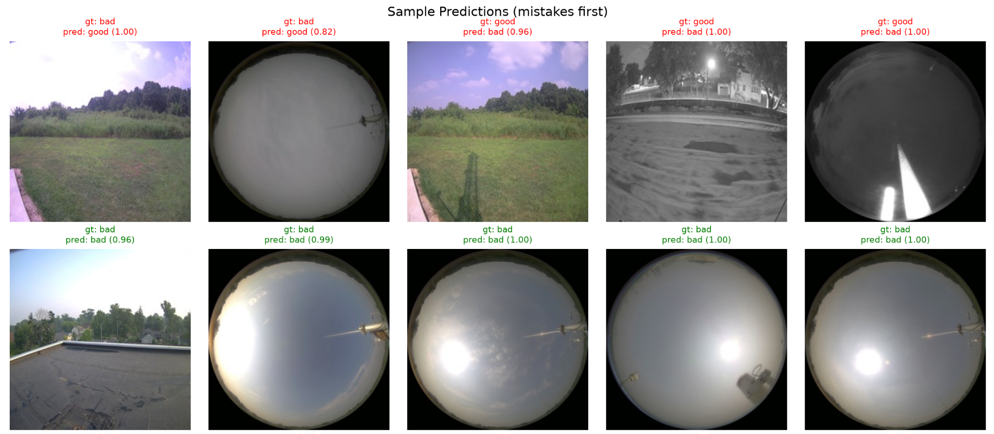 Example YOLO image-classification predictions